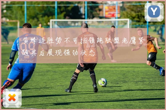黄蜂连胜势不可挡领跑联盟老鹰紧随其后展现强劲状态